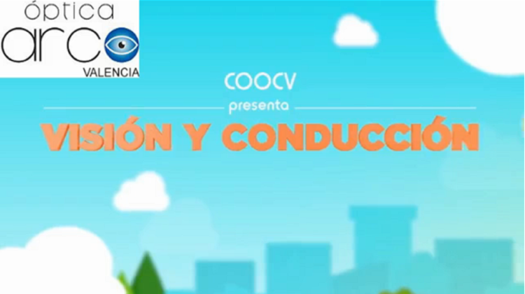 Visión y conducción