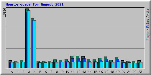 Hourly usage for August 2021