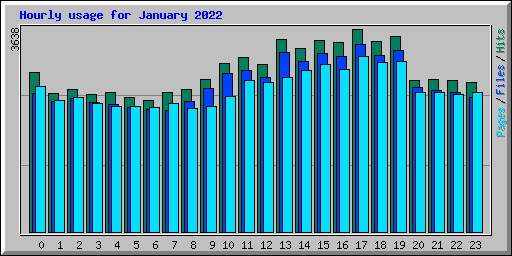 Hourly usage for January 2022