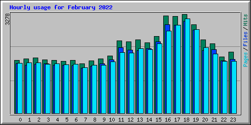 Hourly usage for February 2022